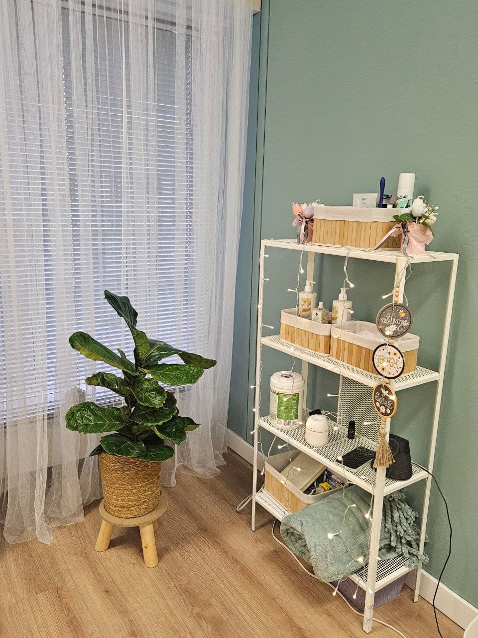 Oh, Honey studio shelf with professional products, plants, and fairy lights